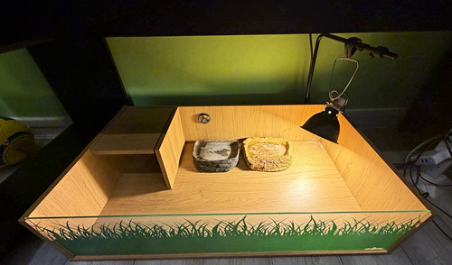 Wooden reptile vivarium - wooden,
