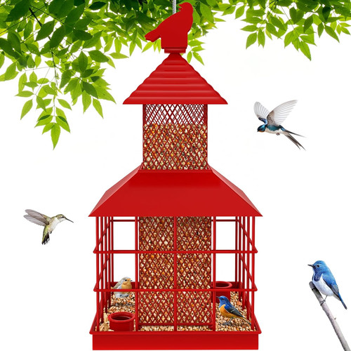Caged bird feeders - caged,