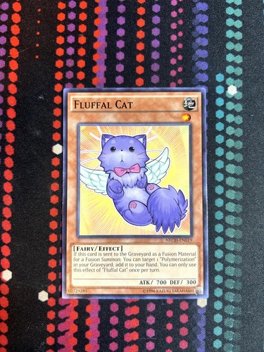 Fluffal cat nech - cat, nech-en019