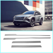 Chrome Side Door Streamer 4