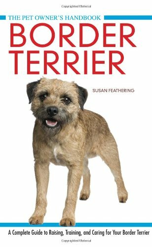 Border terrier the pet - terrier, (the