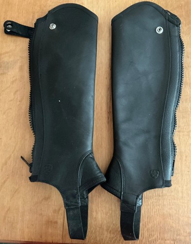 Ariat concord half chaps - chaps,
