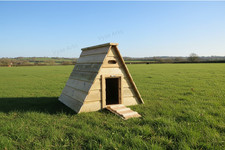 Handmade Duck Ark –
