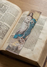 Virgin Mary Immaculate Woven