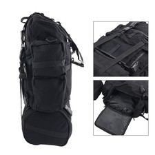 21" Large Storage Sissy Bar