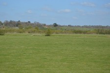 Photo 6x4 Pasture land Rye