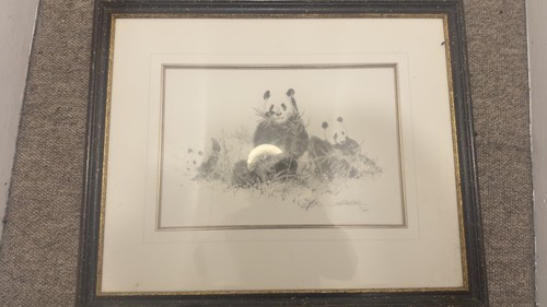 David shepherd panda pencil - panda,