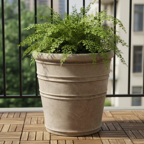 Stone effect plant - plant, pot