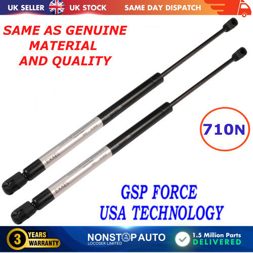 Rear tailgate gas struts - tailgate,
