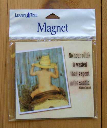 Leanin tree flex - leanin, magnet