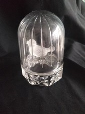 HOFBAUER BYRDES GLASS BIRD IN