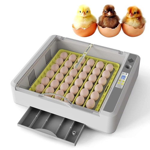 Fully automatic incubator - fully,