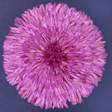 34"Purple Traditional Feather