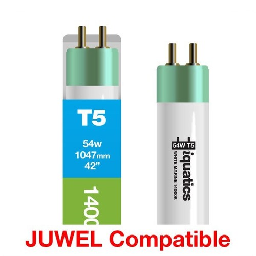 Iquatics juwel compatible - iquatics,