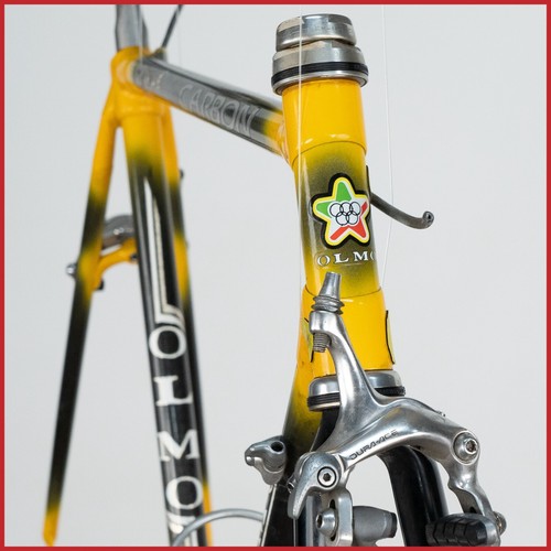 Olmo carbon alan - olmo, old