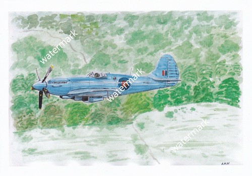 Print watercolour painting - painting, raf