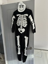 Fancy Dress/ Halloween Outfit 