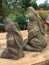 Moon gazing hare pair - moon,