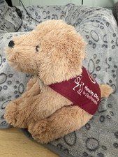 NEW Hearing Dogs for Deaf