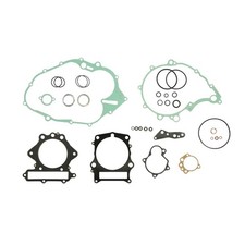 1X ENGINE GASKETS - SET FITS