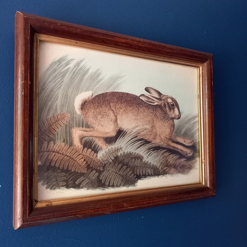 Vintage samuel howitt print - samuel,