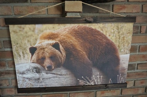Large grizzly brown bear - large, 30"