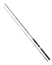 Daiwa BG Seabass Spinning Rod