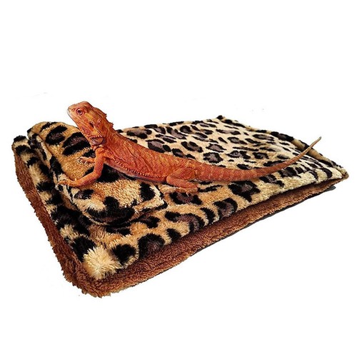 Bearded dragon bed - bearded,