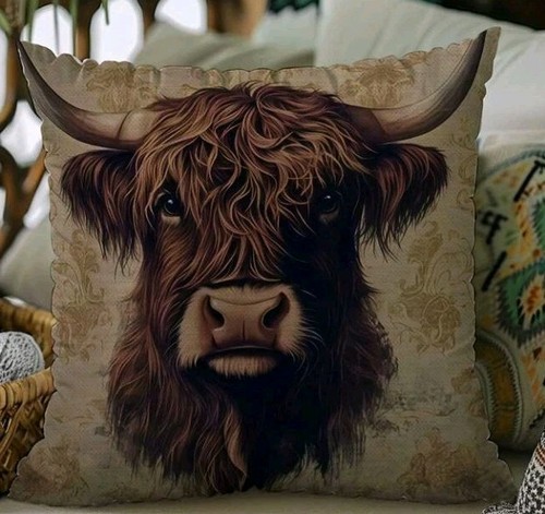 Beautiful highland cow - highland,
