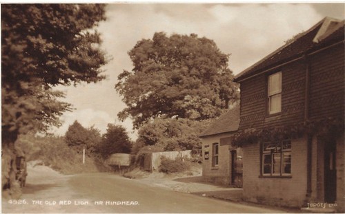 The old red lion hindhead - lion, nr