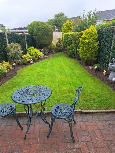 Complete house clearance - house,