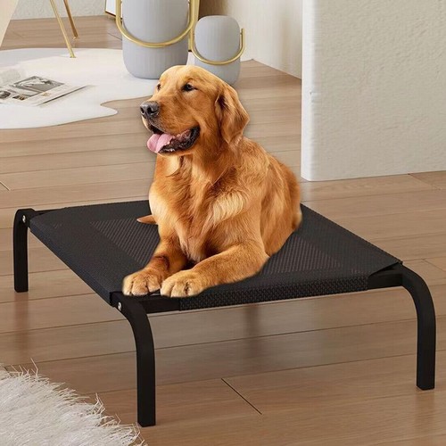Elevated dog bed pet cat - cat, mesh