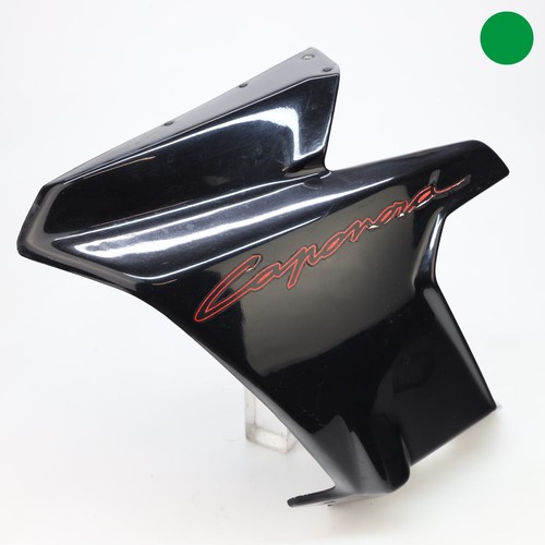 Aprilia caponord 1000 fairing - aprilia,