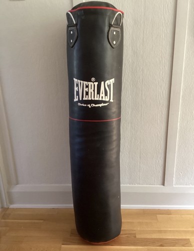 Everlast hanging heavy punch