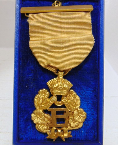 Gold plated primrose - gold,