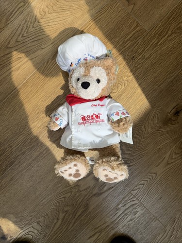 Disney world chef - world,