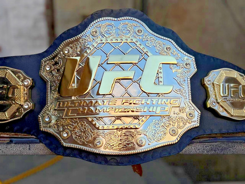Ufc ultimate fighting - ultimate,