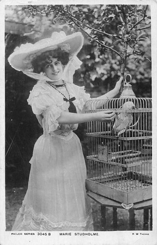 Family history postcard - -,