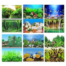 Aquarium Fish Tank Background