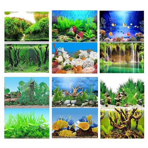 Aquarium fish tank background - aquarium,
