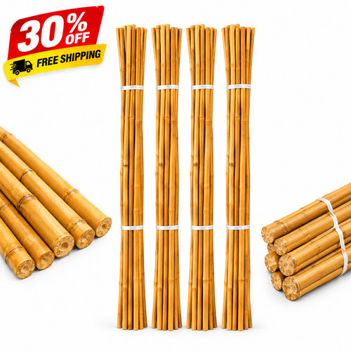 Natural bamboo plant support - plant,