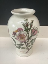 PORTMEIRION BOTANIC GARDEN VASE - Dog Rose / Rosa Canins
