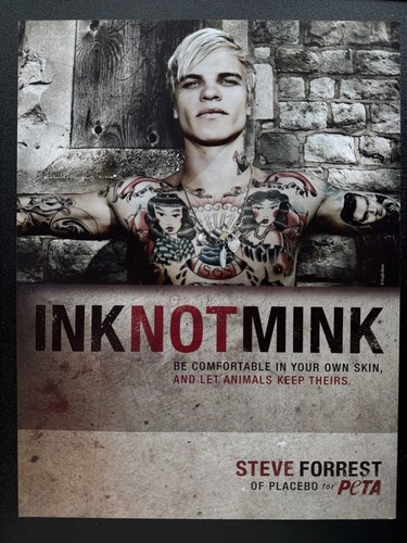 Steve forrest placebo peta - steve, |