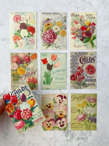Vintage flower ephemera card - flower,