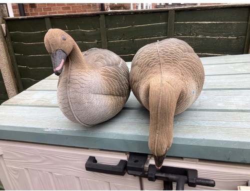 Goose decoys have - decoys, 50