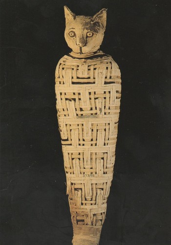 British museum egyptian - british, cat
