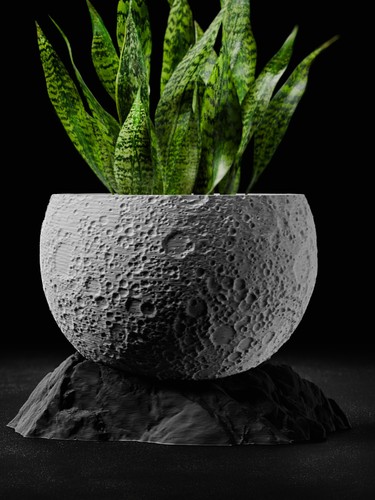 Moon planter with base - planter, flower