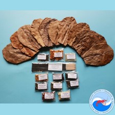 Food Set // Sticks Sea Almond Tree Leaves Shrimp Lollies // Shrimp Food