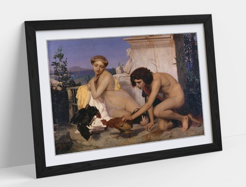 Young greeks cock fight - young,
