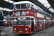 Bus Photo - Lothian Regional